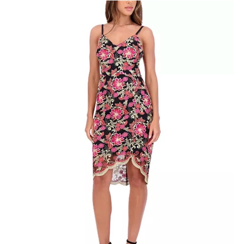 Siena Dark Floral-Embroidered Scalloped Hem Mesh Black Pink Women’s Dress Sz 14